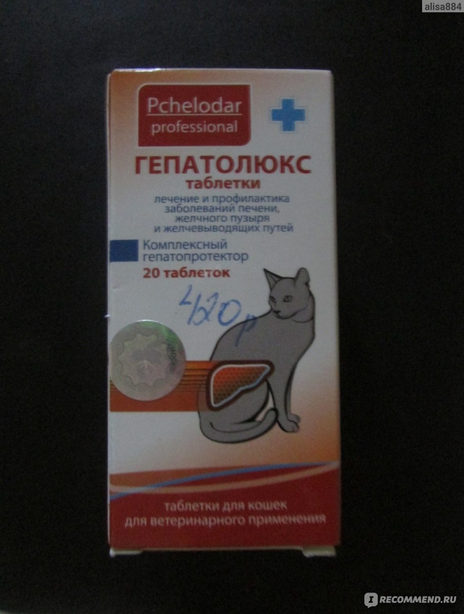Гепатопротектор Пчелодар Гепатолюкс таблетки для кошек - «Снижает  нежелательные последствия от приема гепатотоксичных лекарственных  препаратов» | отзывы