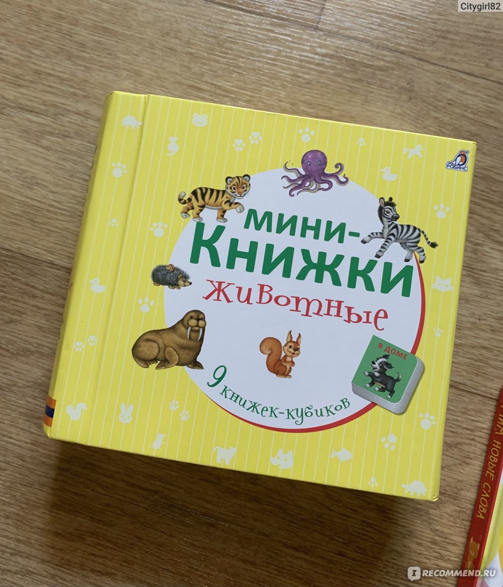 Фразовые дорожки мини (книжечка), Elli Wonderland: инструкция