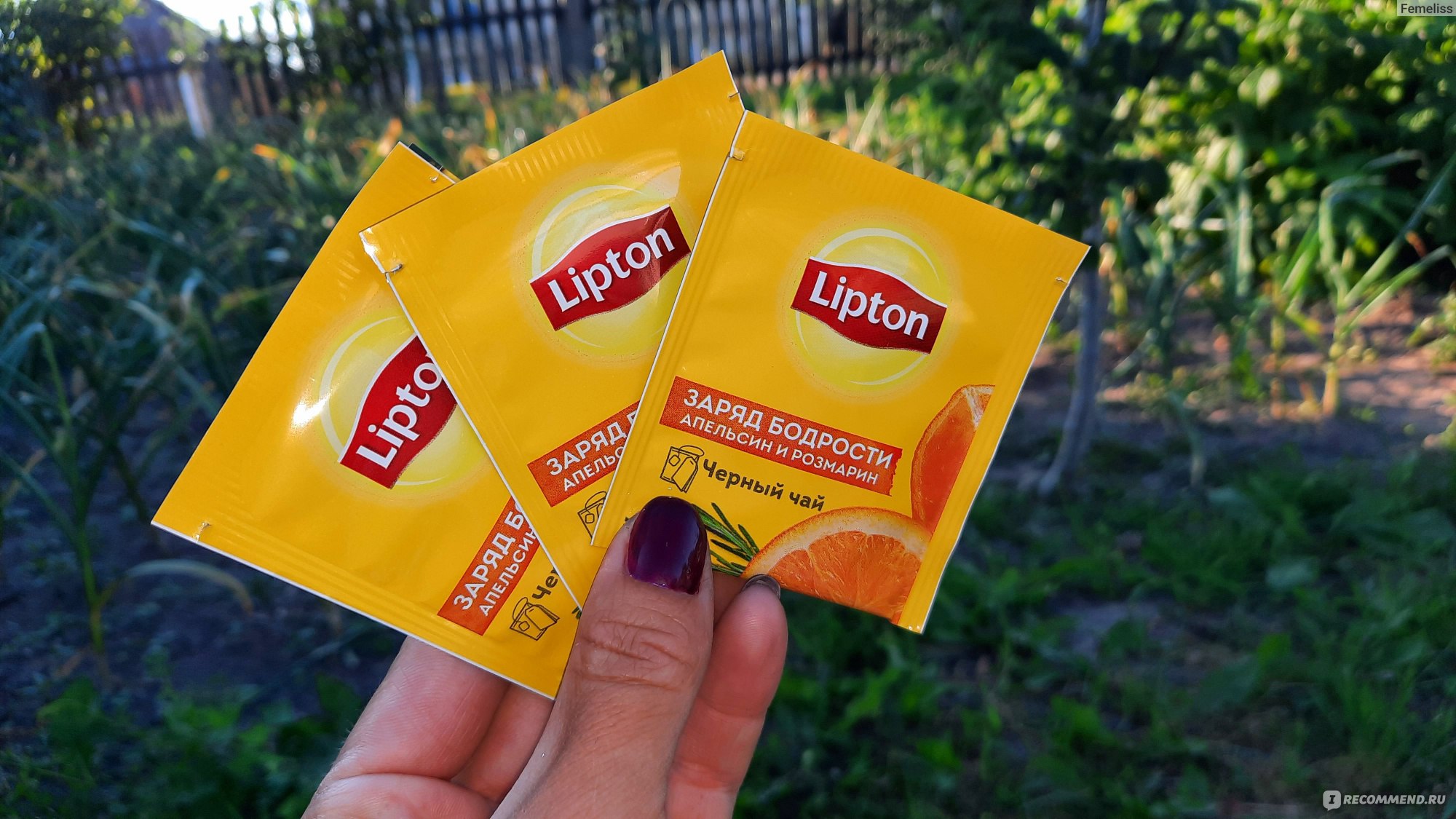 Чай Lipton Чёрный чай Заряд бодрости Апельсин и розмарин - «🍊 Заряд  бодрости и прилив сил💪 Вкусный и насыщенный чёрный чай Lipton Апельсин и  Размарин☕» | отзывы