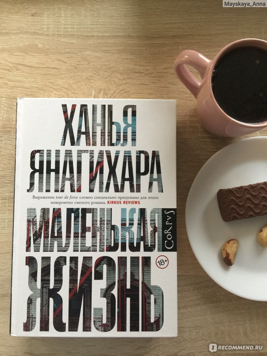 Маленькая жизнь ханья янагихара. Ханья Янагихара книги. Маленькая жизнь Ханья Янагихара здание. Маленькая жизнь Ханья Янагихара обложка книги.