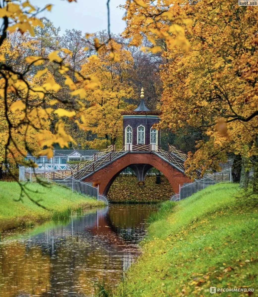 Золотая осень в Санкт Петербурге