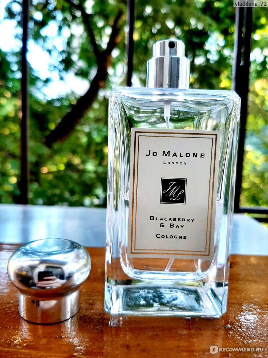 Blackberry bay отзывы. Jo Malone BLACKBERRY Bay Cologne. Jo Malone BLACKBERRY Bay. Jo Malone BLACKBERRY Bay. Юнги. Джо Малон блэкберри Рени.