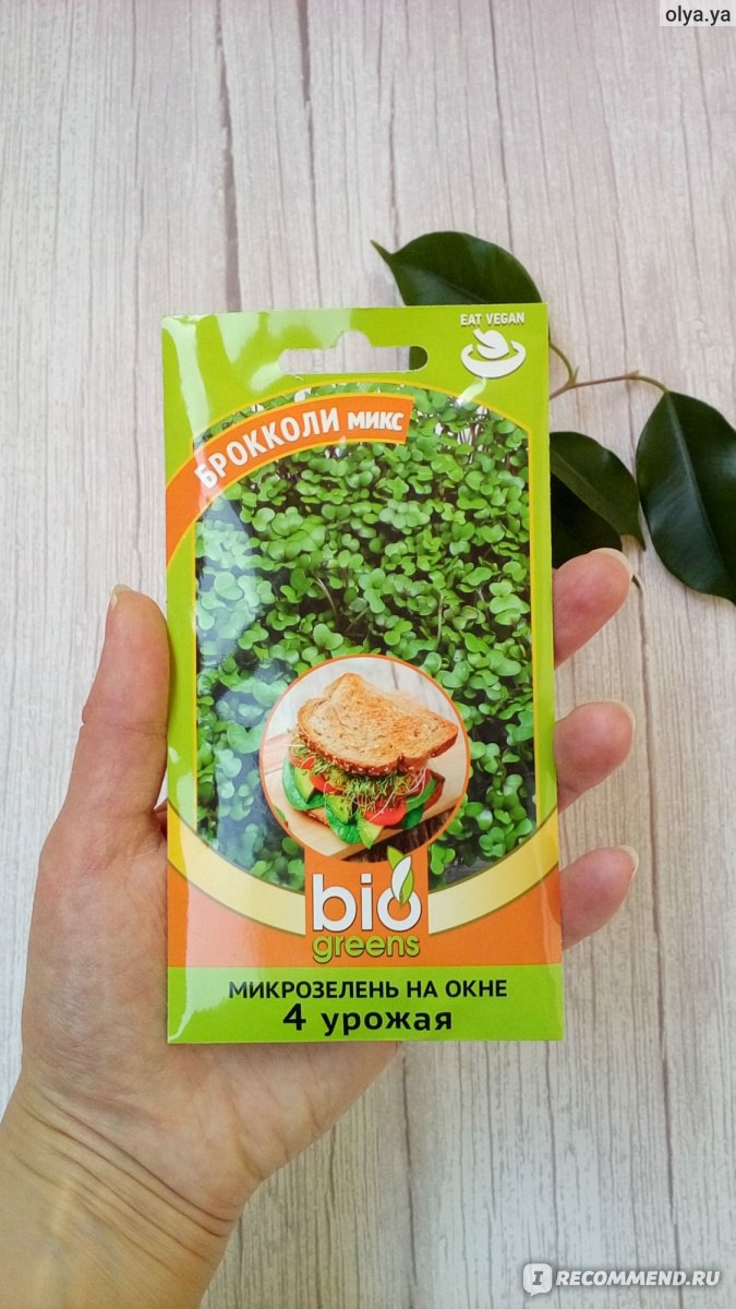 Микрозелень Брокколи микс Гавриш Bio Greens - «Мой первый опыт выращивания  зелени на подоконнике. Что из этого получилось.» | отзывы