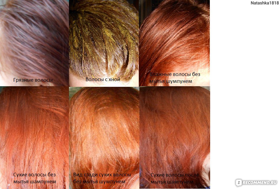 Как пользоваться краской для волос чистая