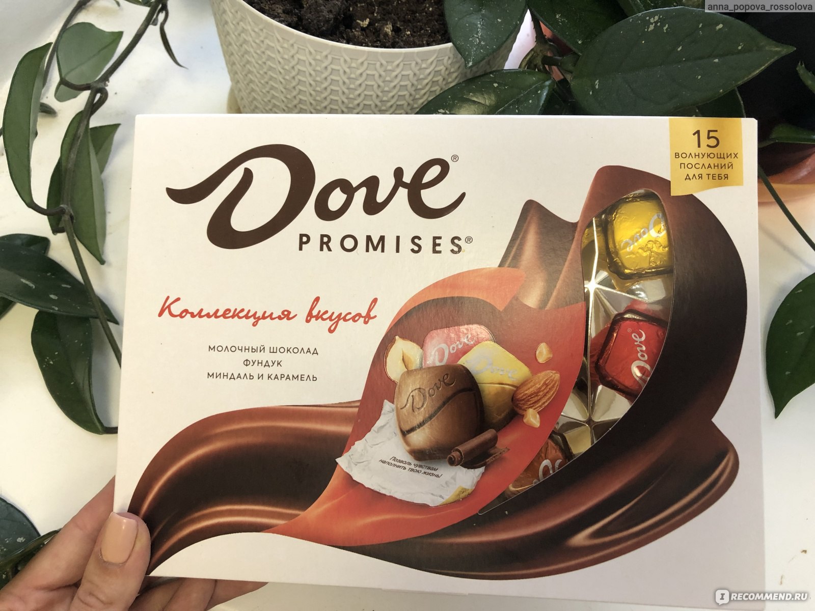 Dove РєРѕРЅС„РµС‚С‹ Р»РѕРіРѕС‚РёРї