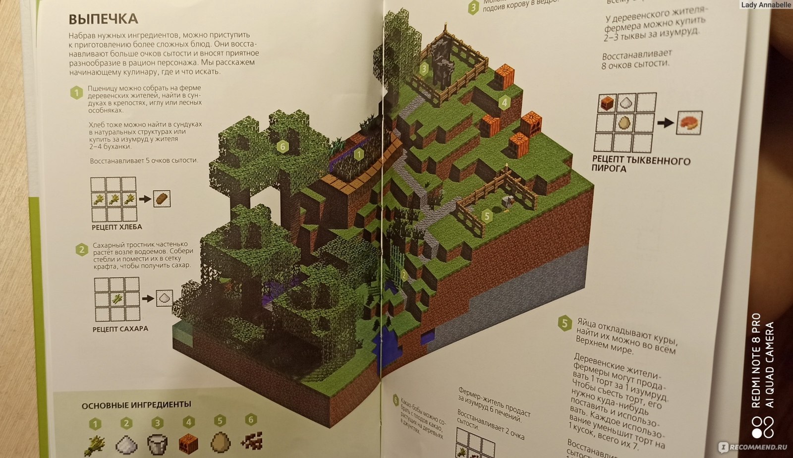 Инструкция майнкрафт. Книга Minecraft руководство для исследователя. Книга майнкрафт руководство для исследователя читать. Руководство для исследователя Minecraft купить. Майнкрафт от а до я неофициальная энциклопедия.