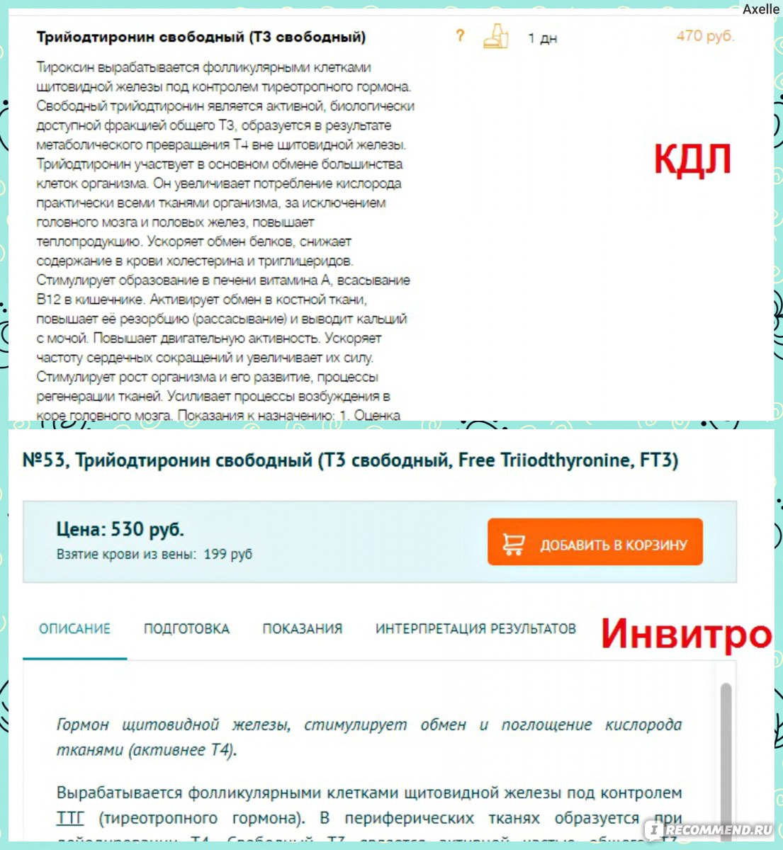 Группа медицинских диагностических лабораторий KDL - «? Сдать анализы не  выходя из дома? с KDL - это реально. Огромный спектр услуг, точные  результаты и адекватные цены + скидочная система. Сравнение цен с ИНВИТРО  =>» | отзывы