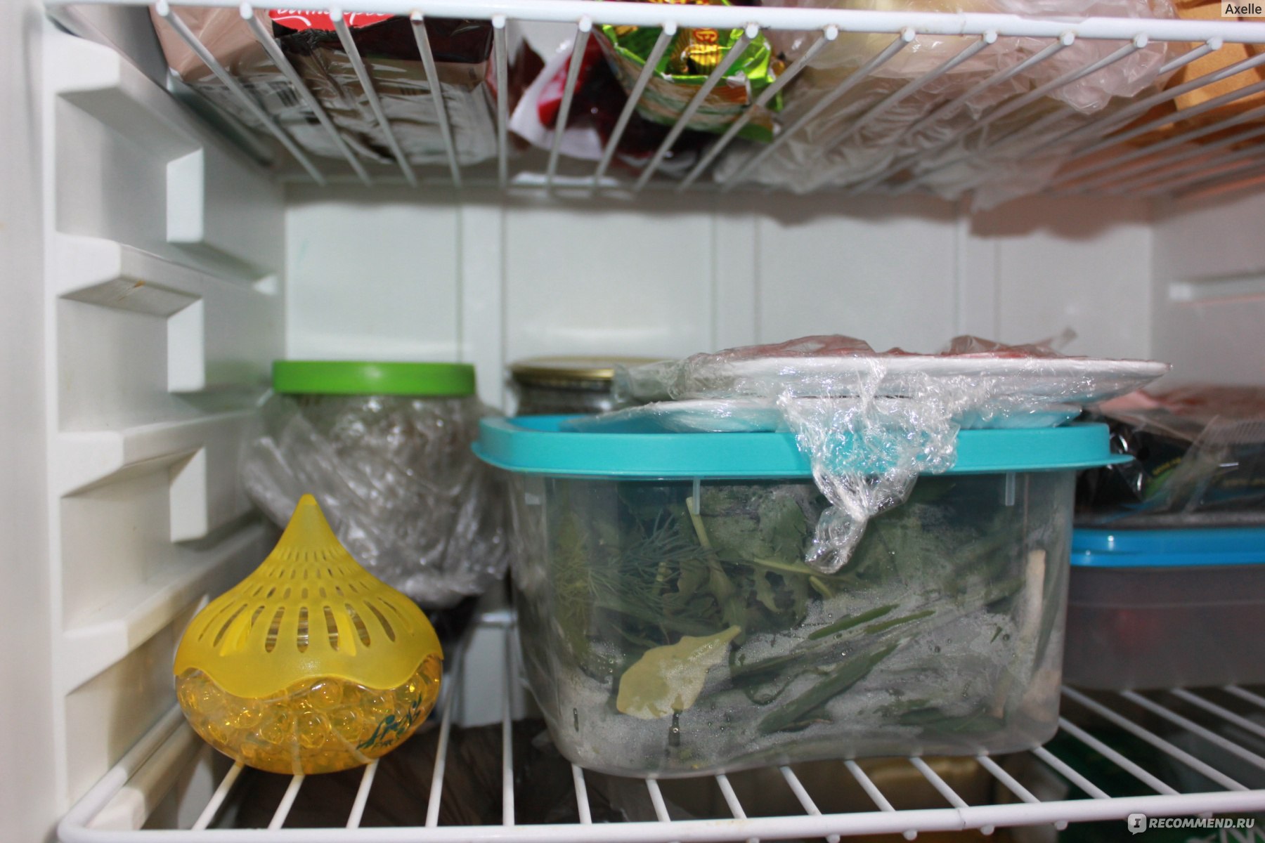 Поглотитель запахов для холодильника: специальные средства