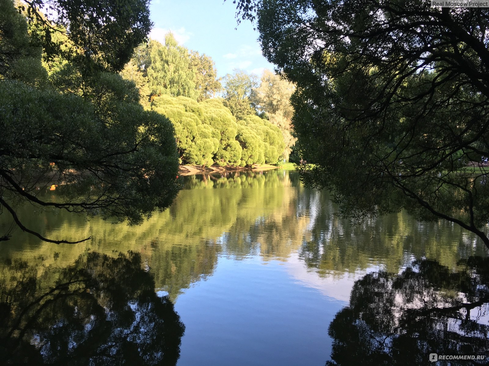 суворовский парк кунцево