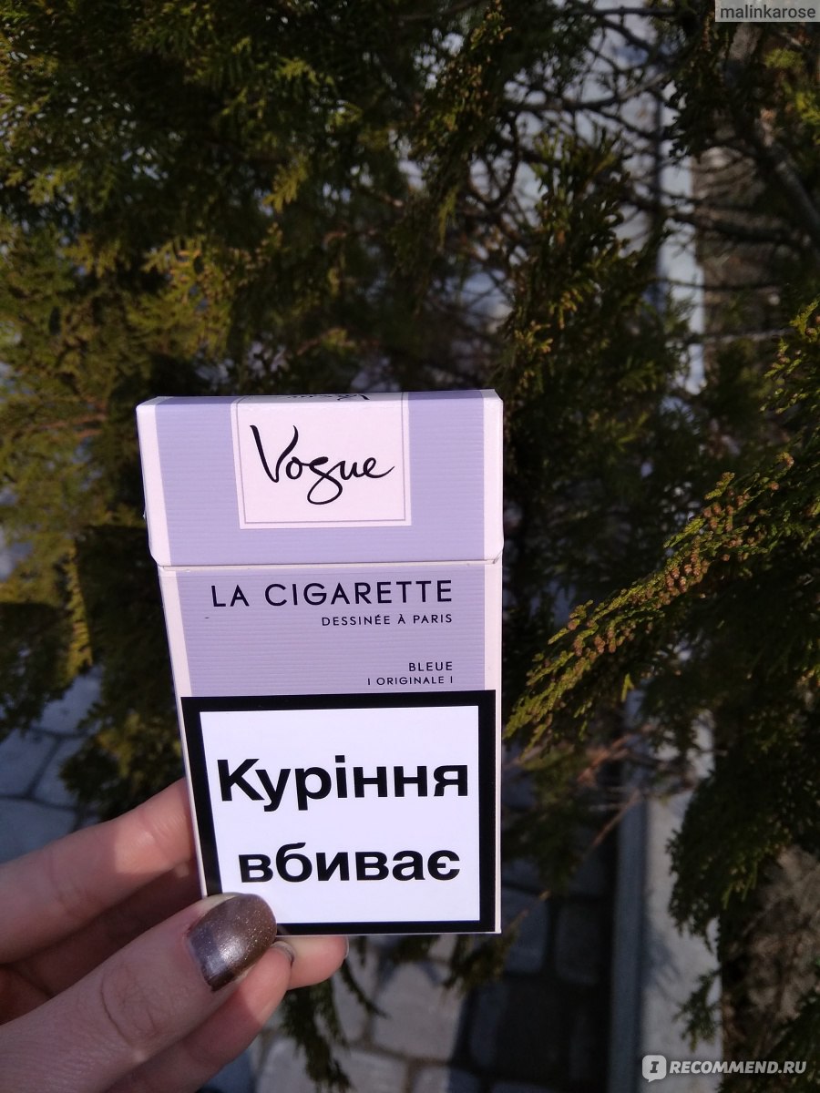 Сигареты вог блю фото