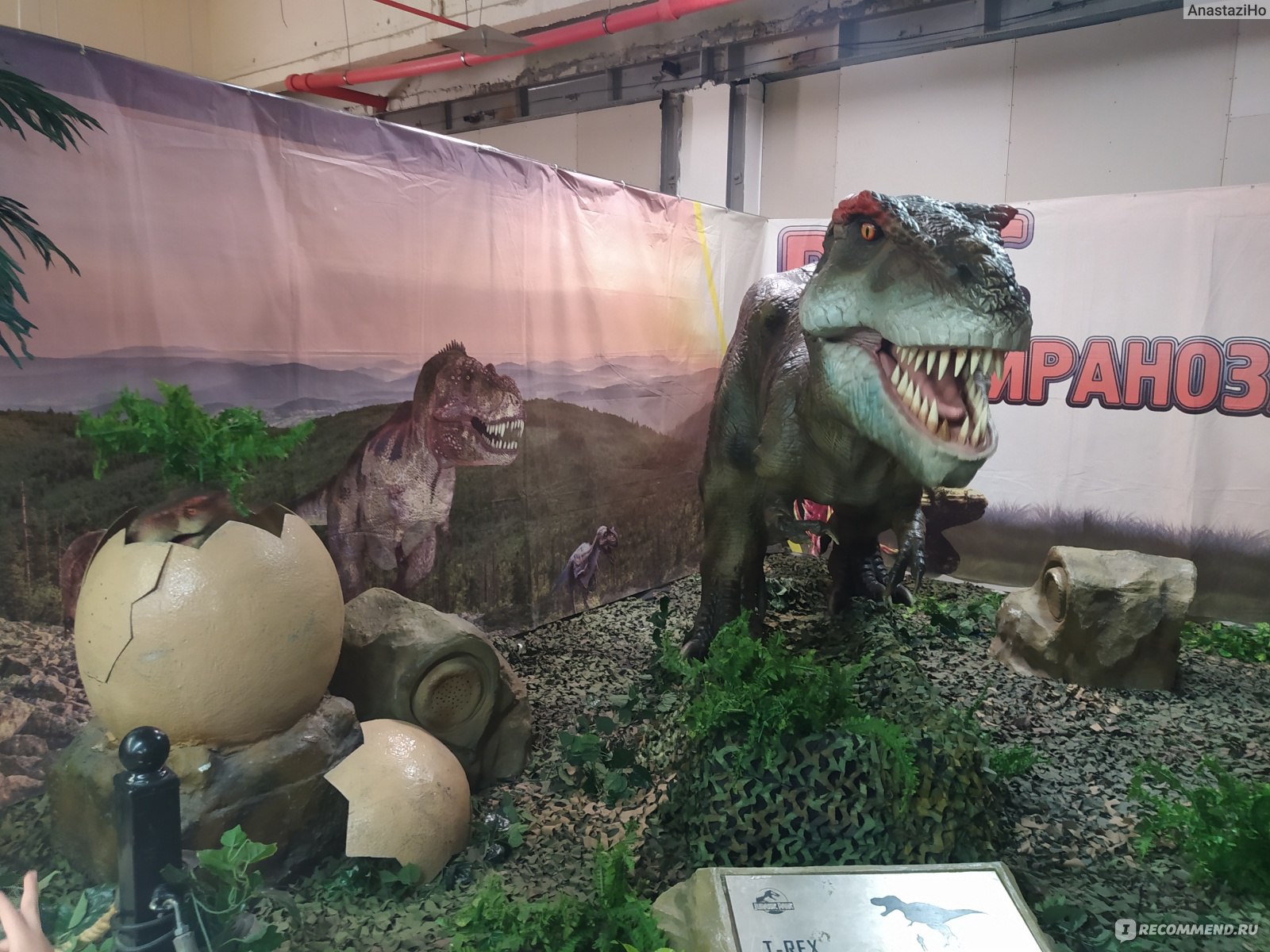 Выставка динозавров ульяновск. Разные динозавры. Выставка динозавров в Сургуте. Выставка динозавров Череповец. Выставка динозавров Липецк.
