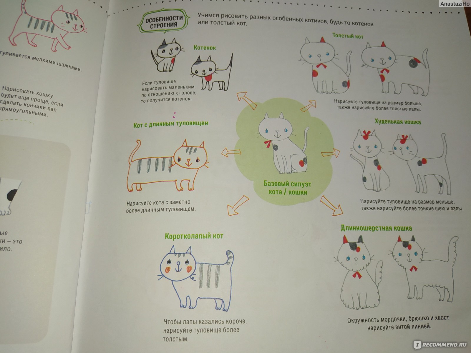 Скетчбук Контэнт Рисуем котиков. Пособие и скетчбук под одной обложкой. -  «Хотите рисовать красивых котиков? Тогда этот скетчбук-антистресс для вас!  » | отзывы
