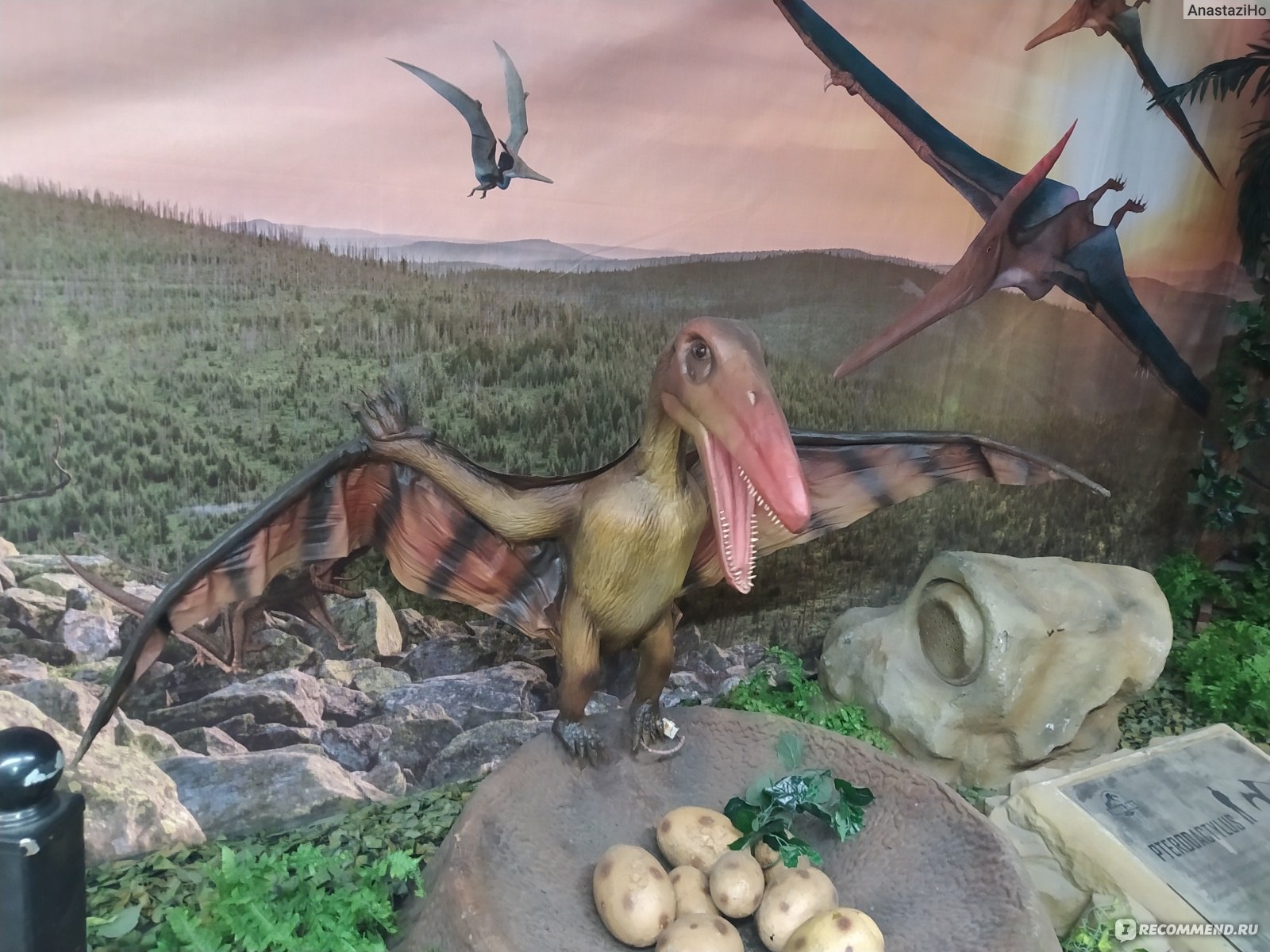 Выставка динозавров ульяновск. Разные динозавры. Выставка динозавров. Вторжение динозавров выставка. Выставка динозавров Липецк.