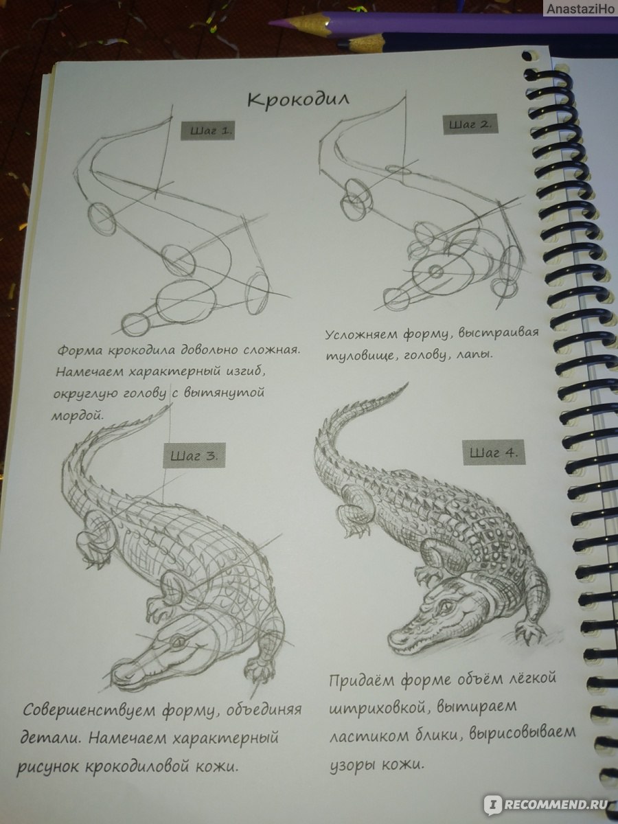 Рисуй легко! Животные. Издательский Дом Проф-Пресс - «Пошаговые уроки  изображения животных. » | отзывы