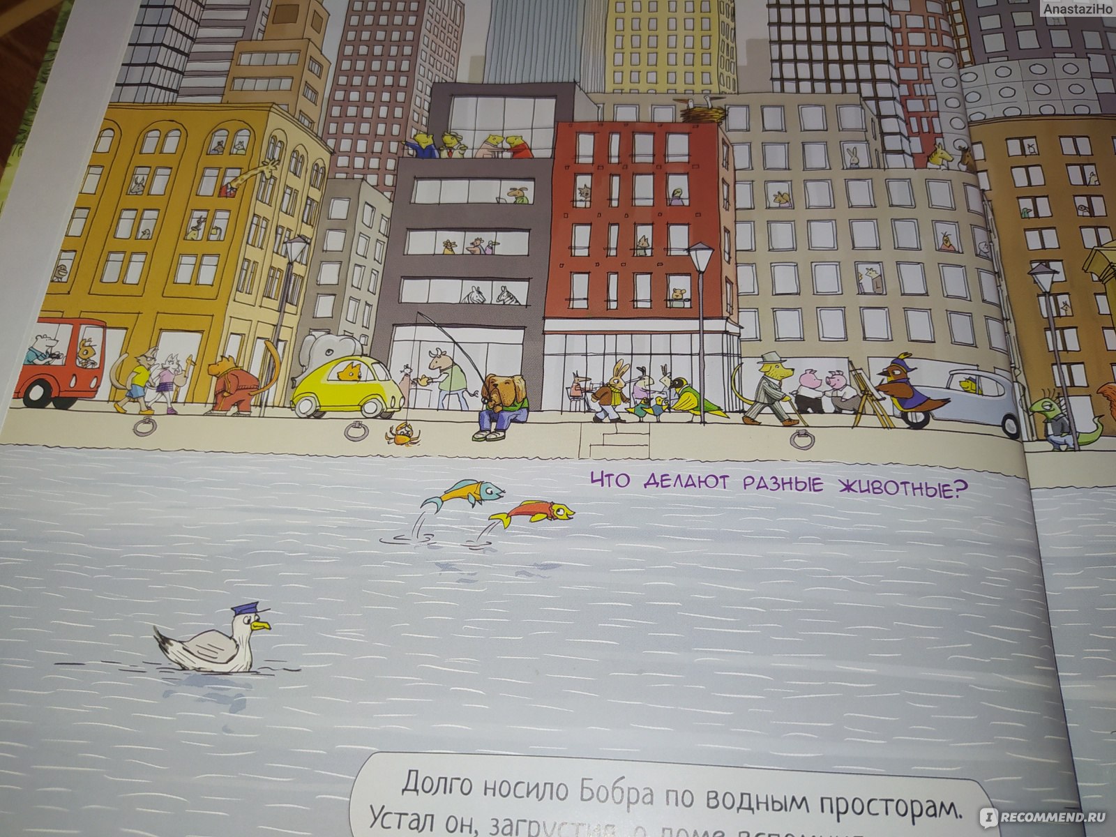 Где же дом БОБРА? Магнус Вейтман - «Расскажет детям о необычных домах  животных и птиц. » | отзывы