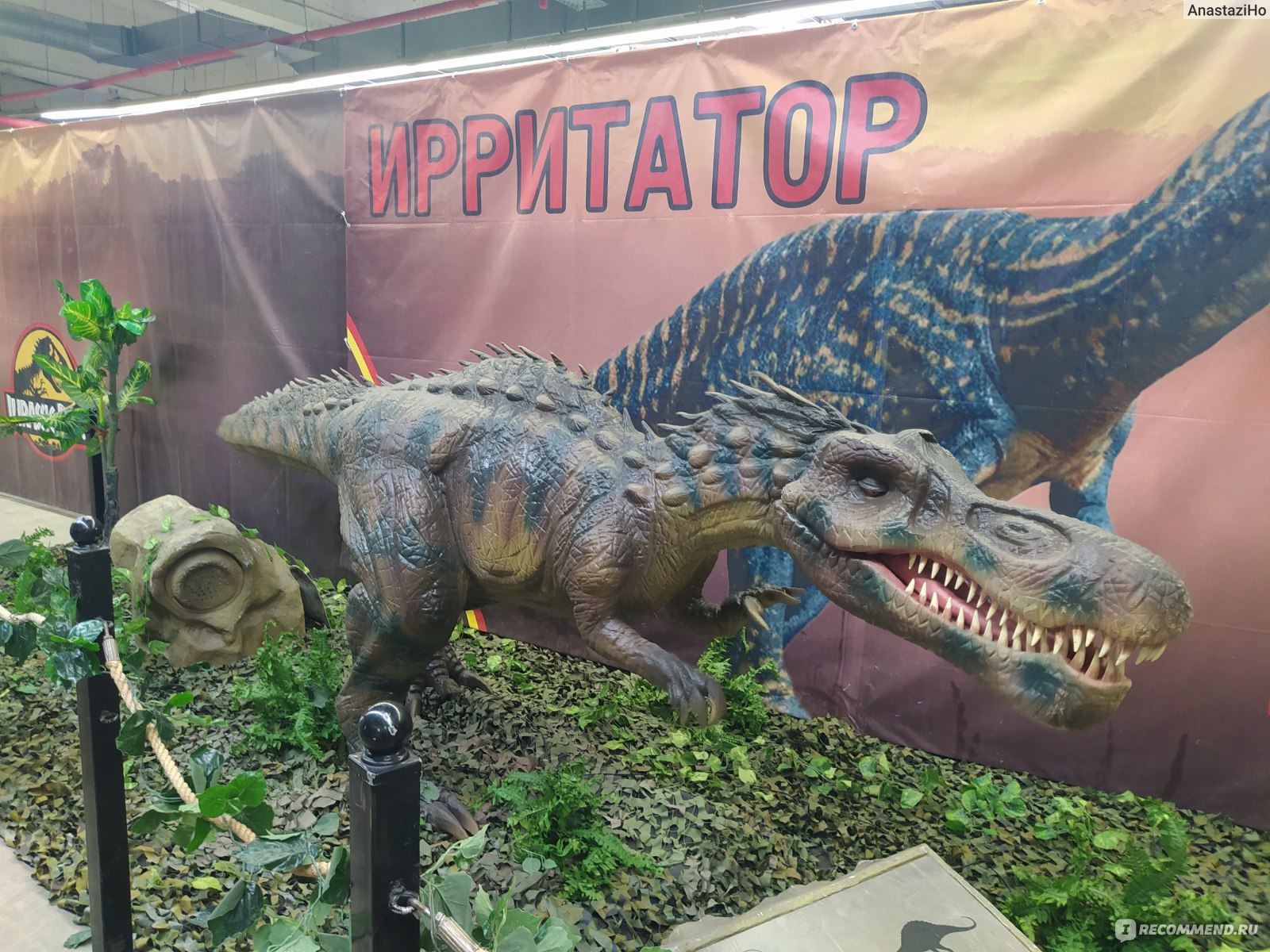 Выставка динозавров пермь колизей. Выставка динозавров. Разные динозавры. Динозавры в Липецке. Выставка динозавров Липецк.