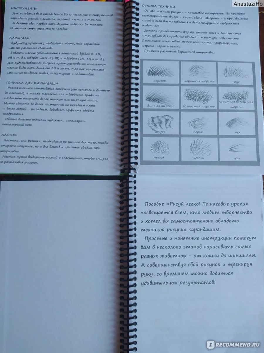 Рисуй легко! Животные. Издательский Дом Проф-Пресс - «Пошаговые уроки  изображения животных. » | отзывы