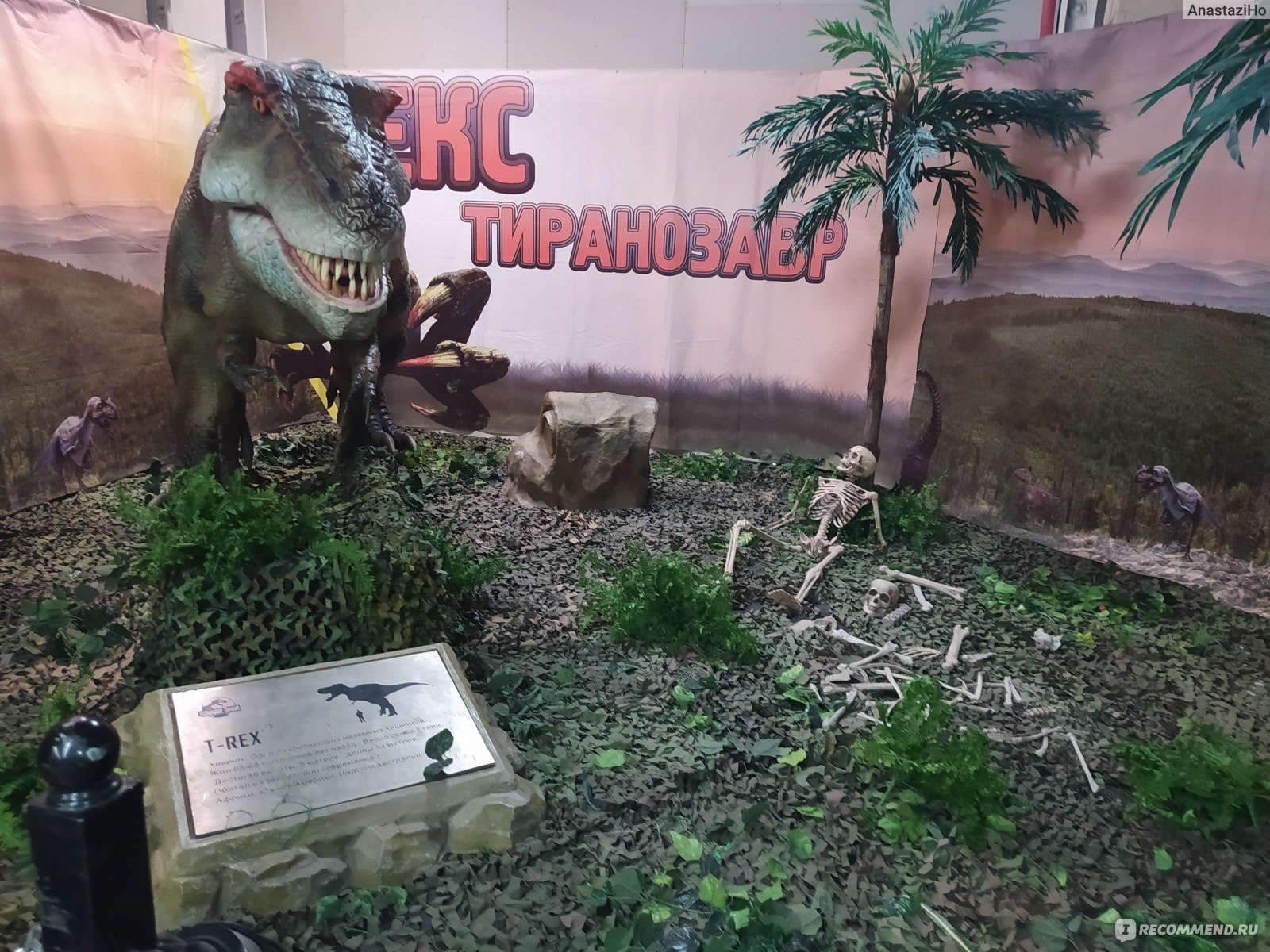 Выставка динозавров ульяновск. Разные динозавры. Вторжение динозавров выставка. Выставка динозавров Липецк. Роботизированная выставка динозавров.