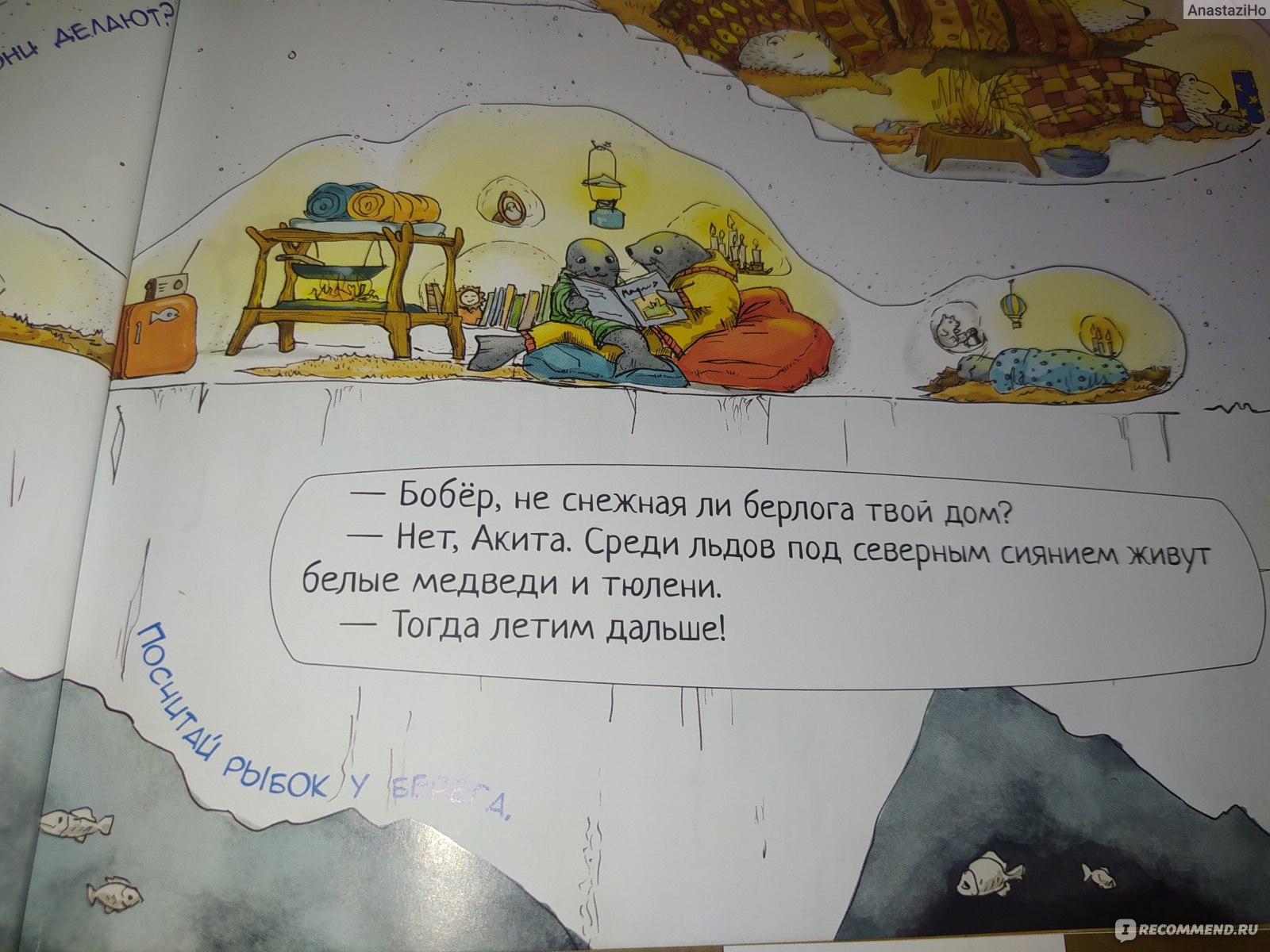 Где же дом БОБРА? Магнус Вейтман - «Расскажет детям о необычных домах  животных и птиц. » | отзывы