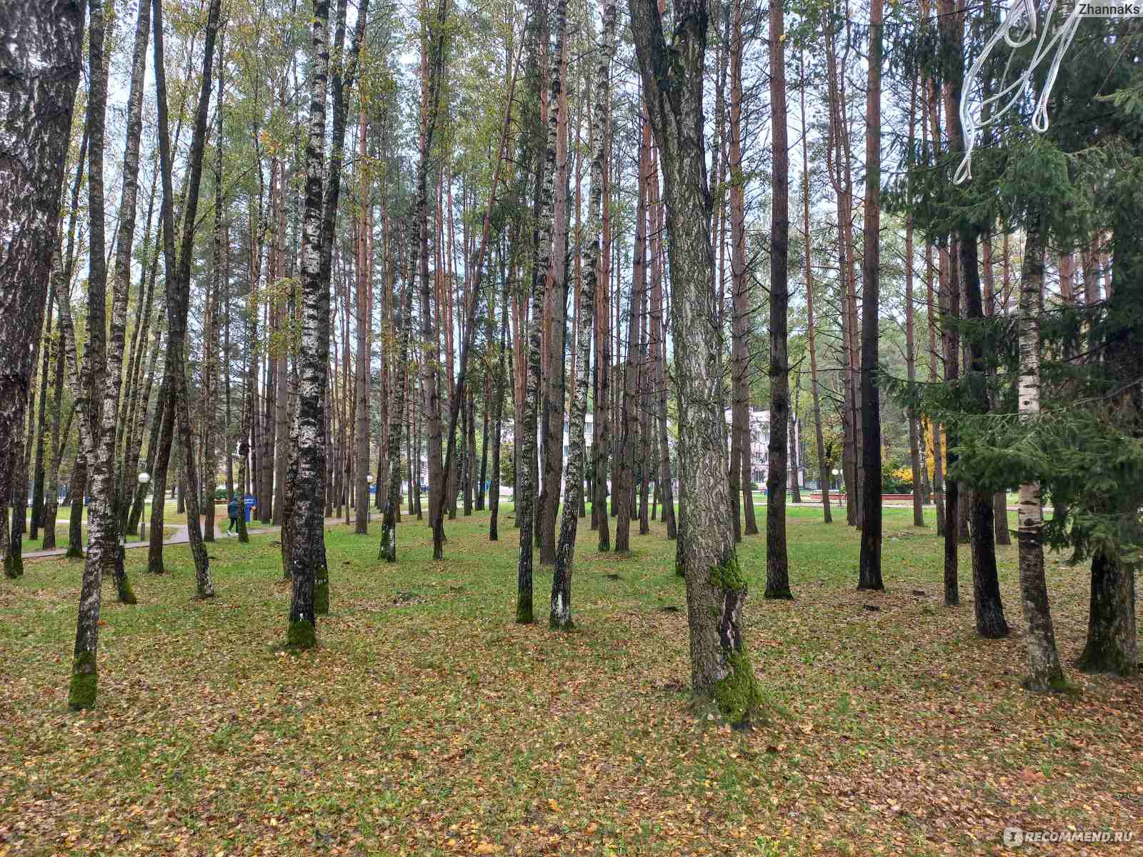 Санаторий Неман-72 , Гродно - «Отдых - экскурсия» | отзывы