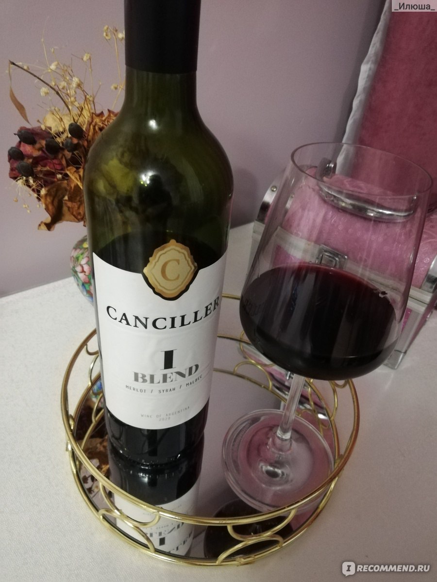 Вино красное сухое Canciller i blend Мерло Сира Мальбек - «💘Напиток для ...