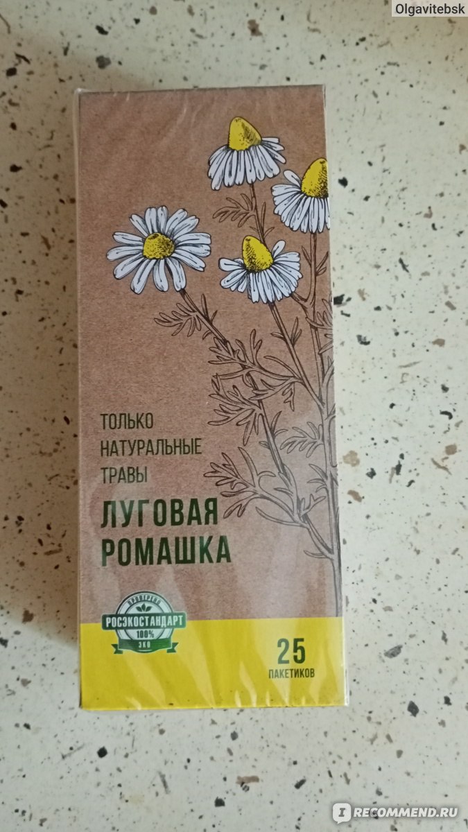 Фотографии ромашек 🌼 (40 фото) – Империя растений