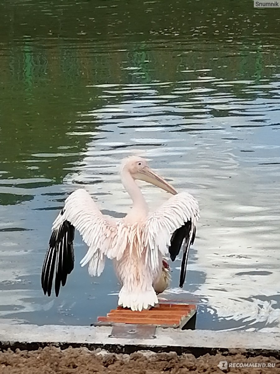 Экокомплекс 