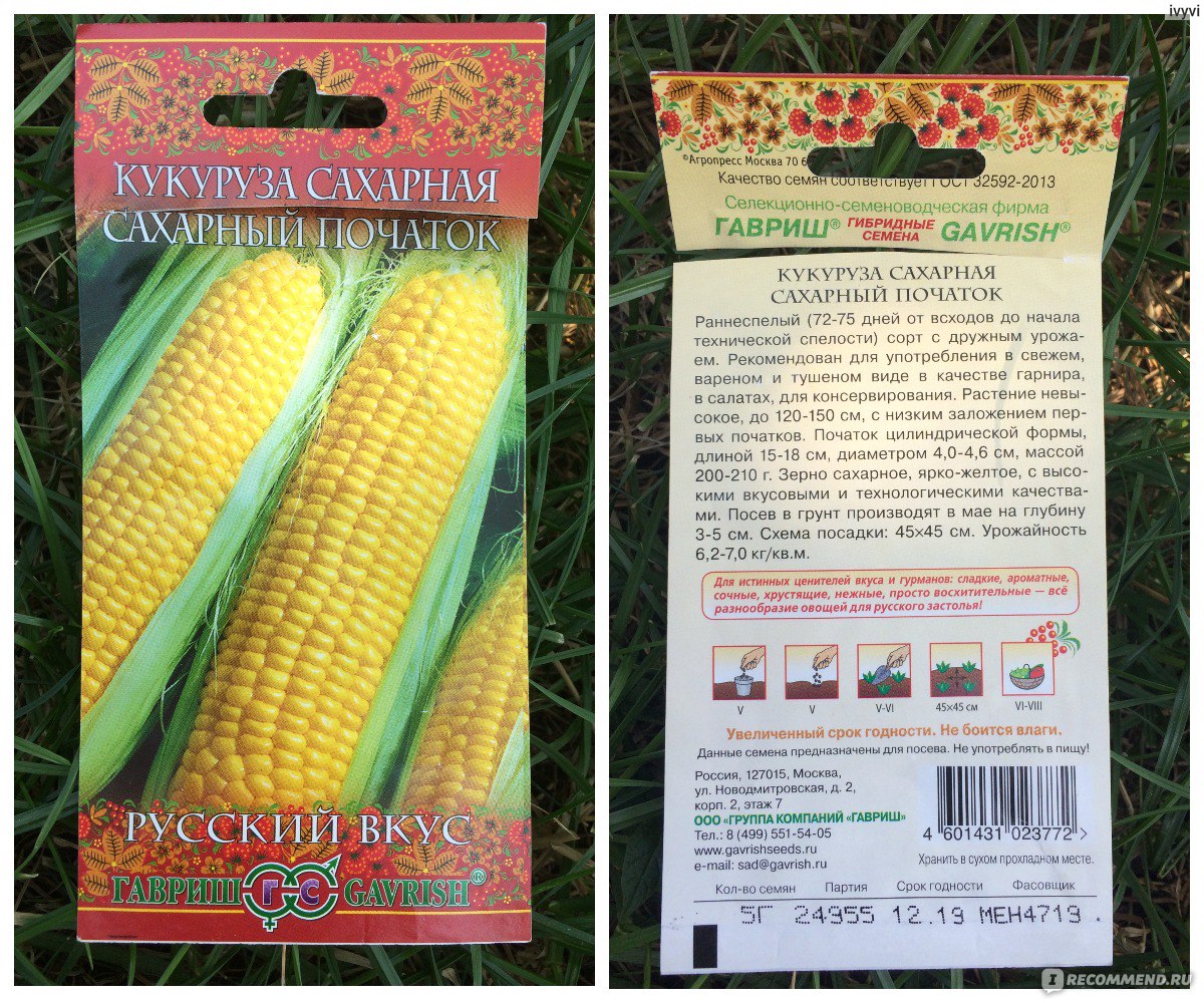 Кукуруза Гавриш сахарный початок Русский вкус - «🌽Сахарная кукуруза 🚩Каки когда сажать кукурузу, чтобы початки были набиты зёрнами и урожай былбольшим»