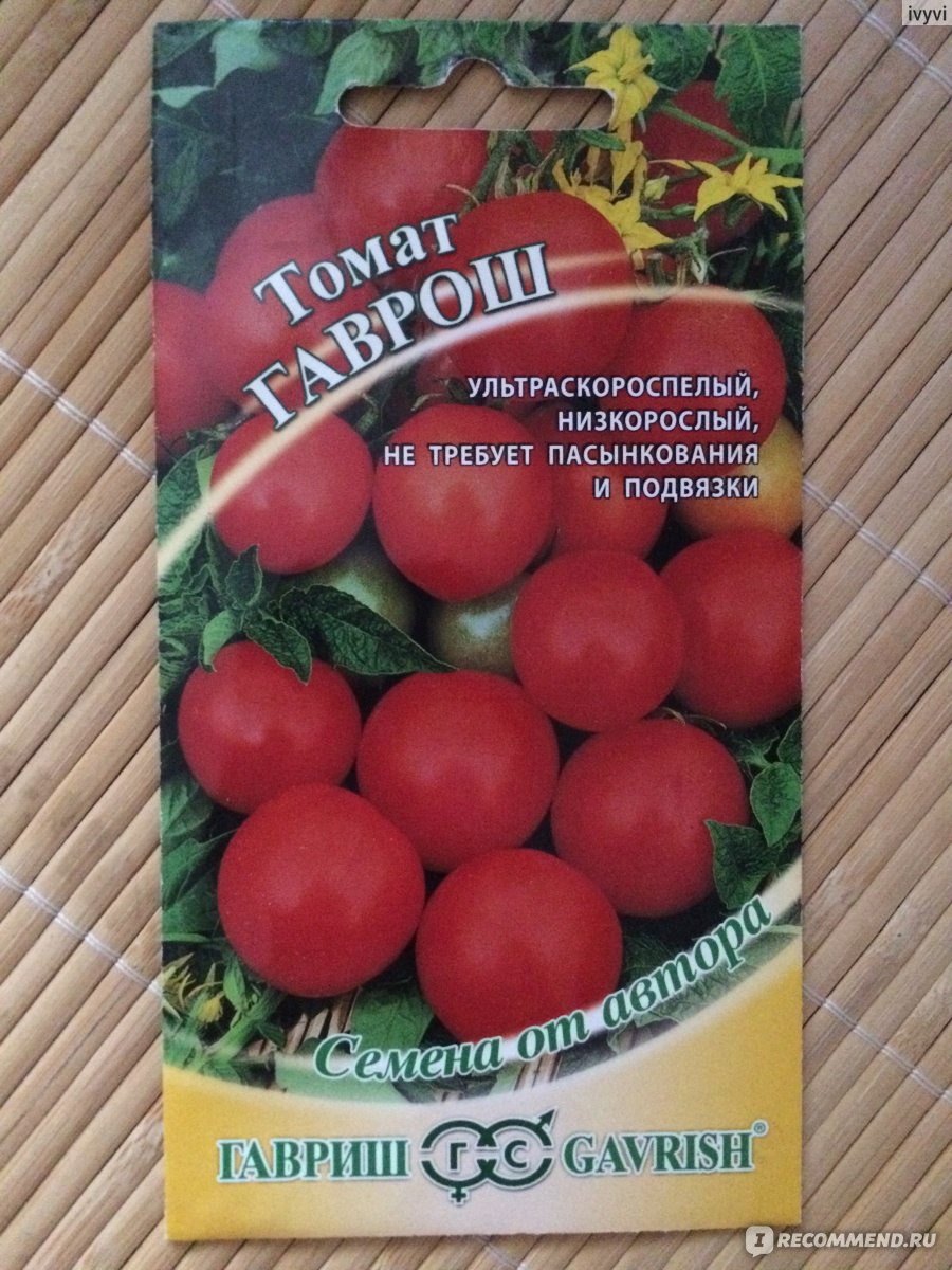 Семена томат Гаврош (Гавриш) - «Томат для короткого холодного лета. Можносеять сразу в открытый грунт.»