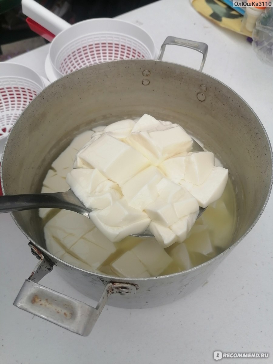 Сыр с пепсином в домашних условиях
