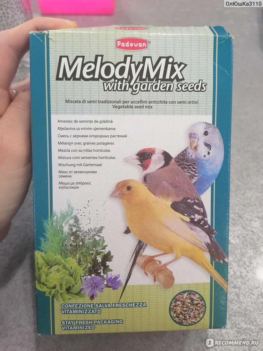 Корм для птиц Padovan MelodyMix - «Вкусняшка для вашего пернатого друга-  дополнительное питание 🦅» | отзывы