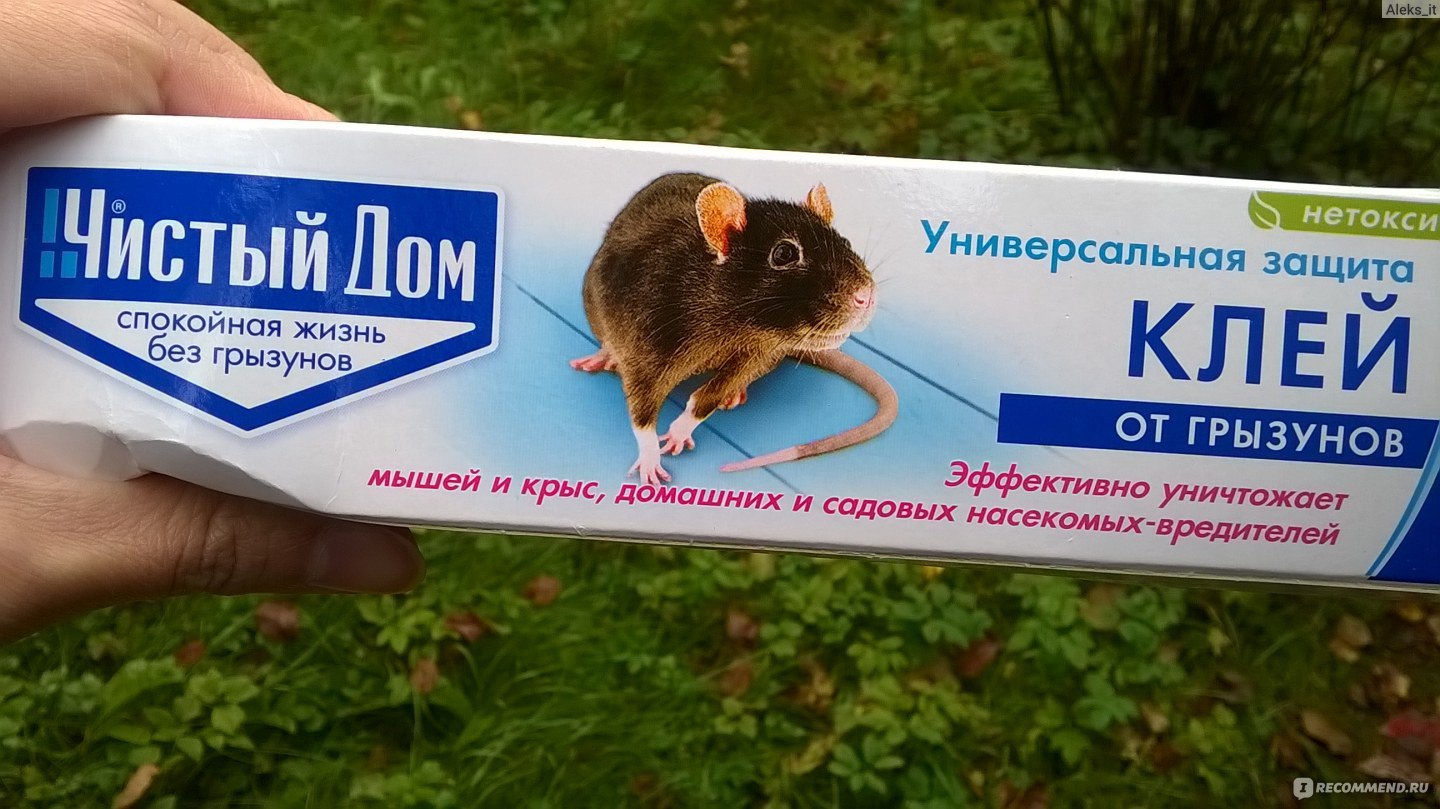 Как избавиться от мышей в частном доме – блог интернет-магазина internat-mednogorsk.ru