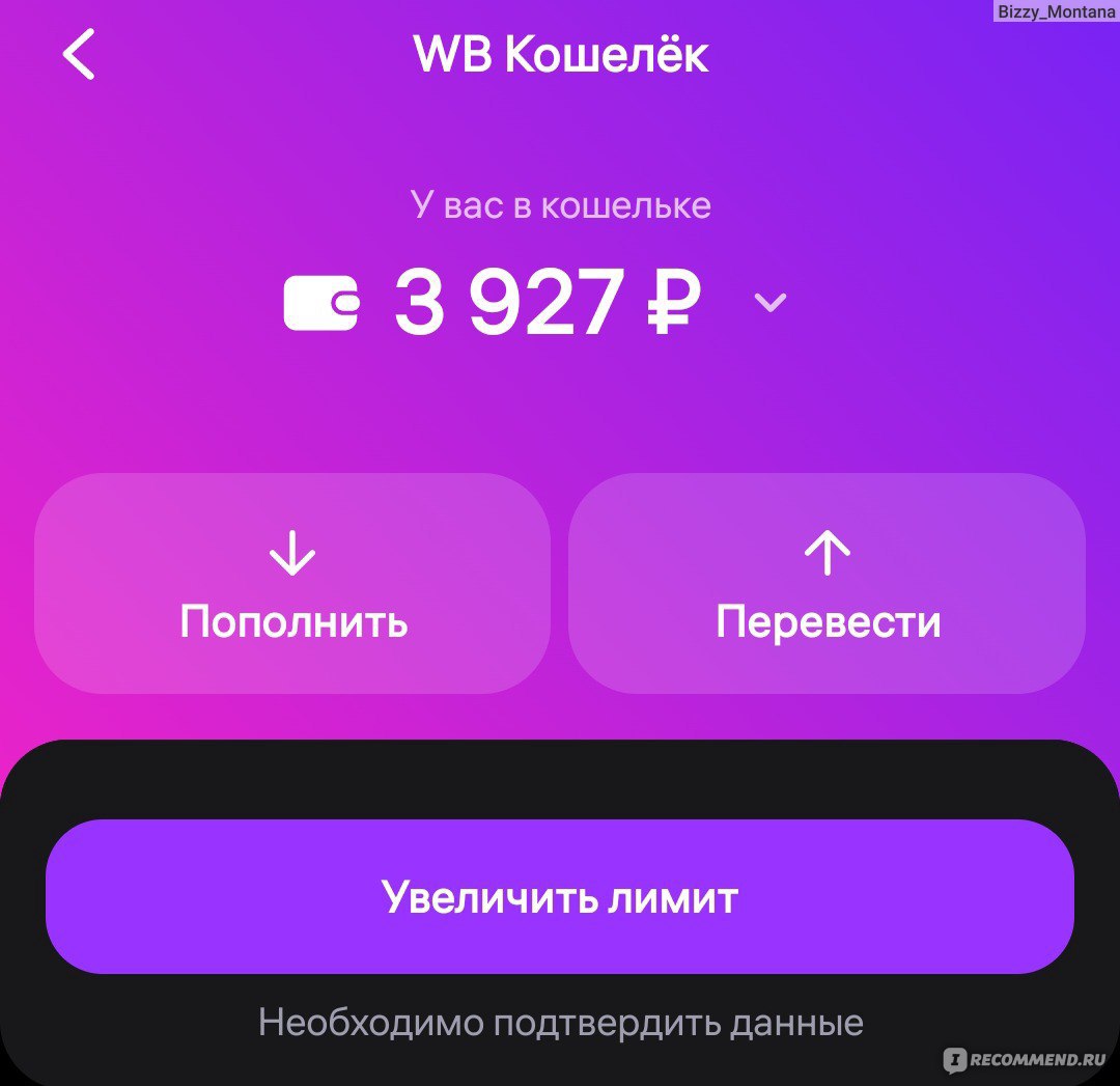 Wildberries.ru - Интернет-магазин модной одежды и обуви - «WB или очередное  пробитие дна» | отзывы