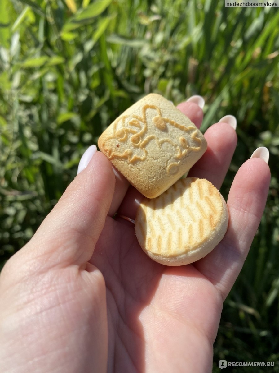 Печенье детское Фруто Няня Мультизлаковое - «Вкусные печеньки, но масло так  и чувствуется » | отзывы