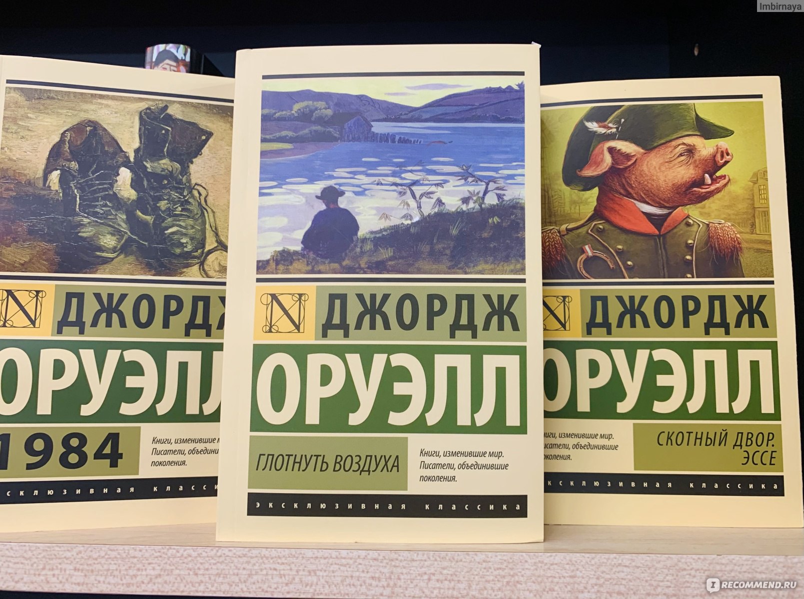 Глотнуть воздуха. Джордж Оруэлл - «Если хочешь что-то сделать, сделай это  прямо сейчас. » | отзывы