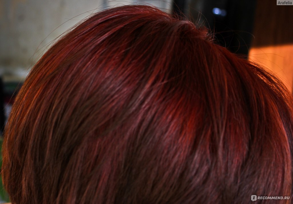 Дикая вишня краска. Дикая вишня (2009). Хна вишня. Хна Тициан для волос. Хна для волос вишня.