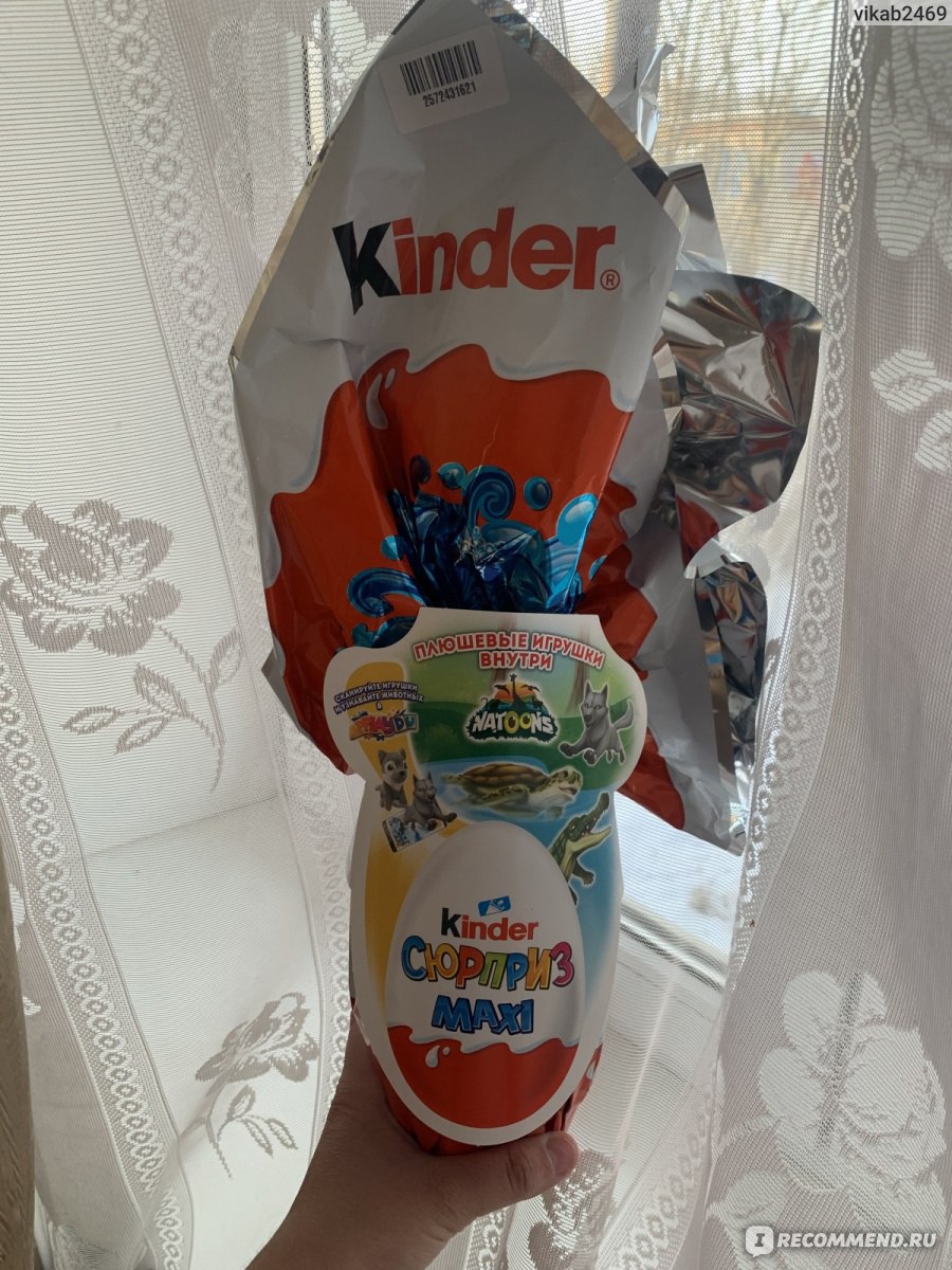 Шоколадное яйцо с сюрпризом Kinder Киндер сюрприз MAXI Natoons с плюшевой  игрушкой 150 гр - «Упаковка красивая, а внутри ничего необычного, цена  неоправданная…» | отзывы