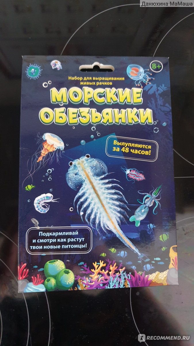 Морские обезьянки