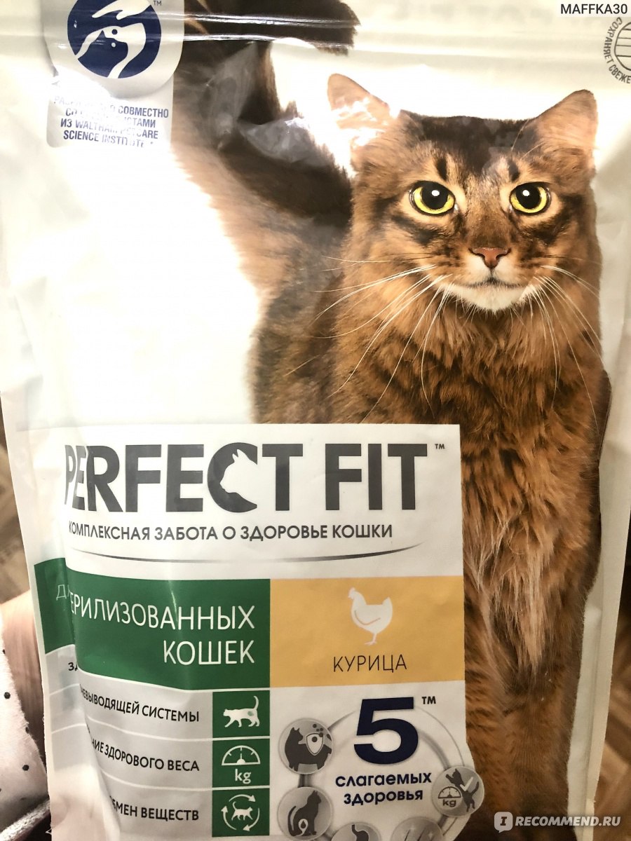 Сухой корм для стерилизованных котов и кошек Perfect Fit - «Лучший корм для  кошек!» | отзывы