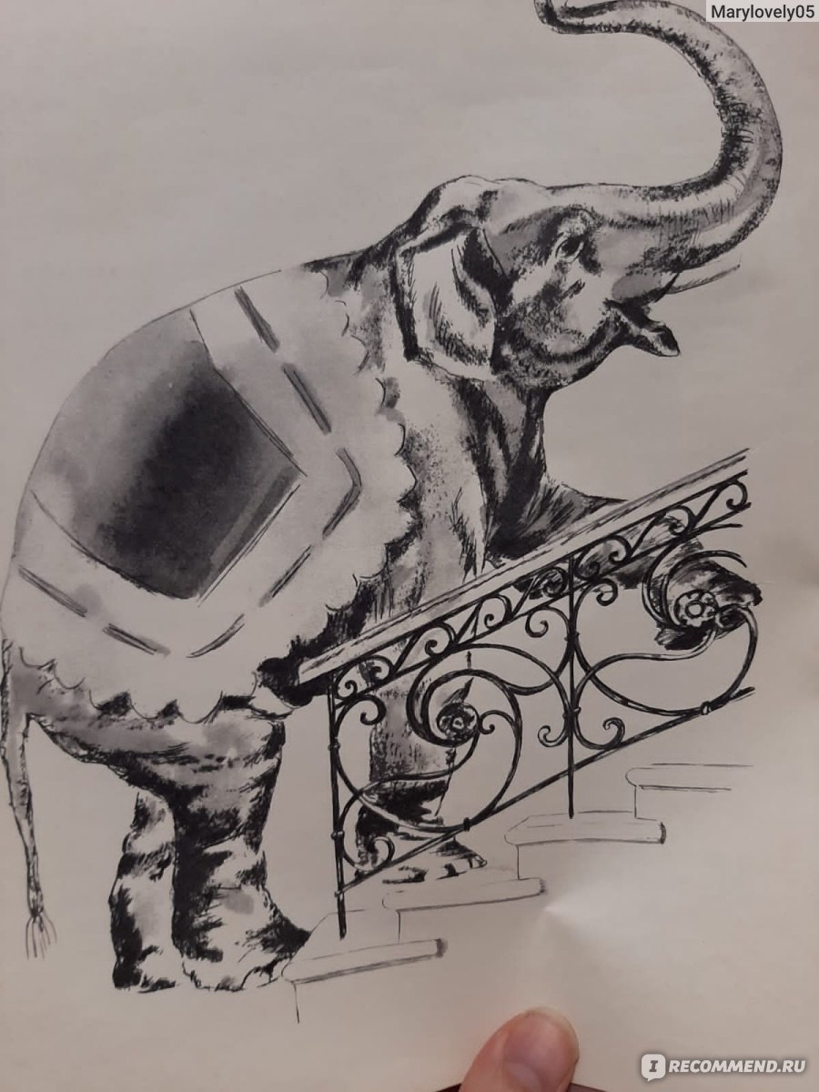 Слон рисунок. Рисунок к рассказу слон Куприн. Как нарисовать слона. Легкий рисунок слона африки