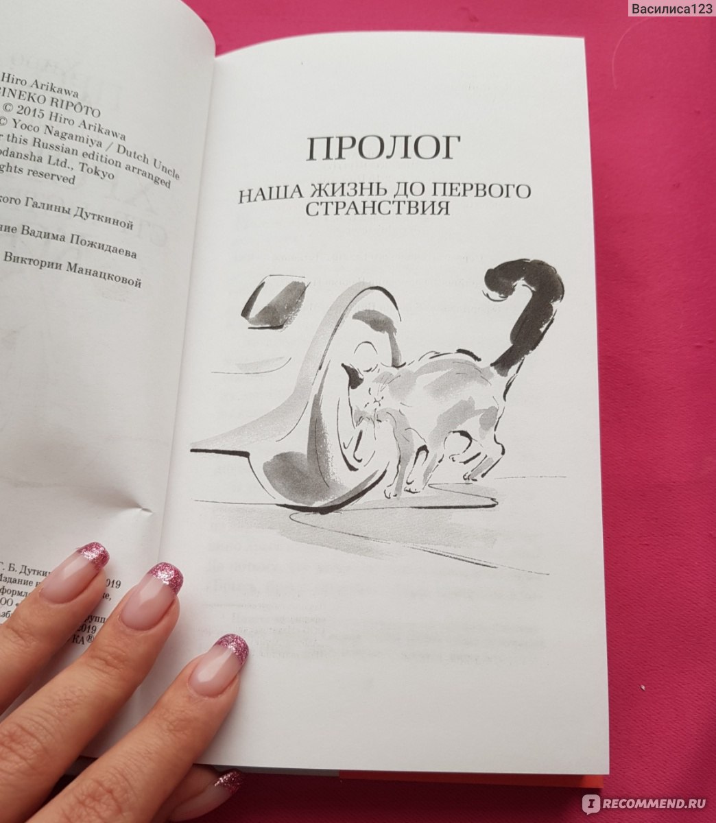 Хроники странствующего кота
