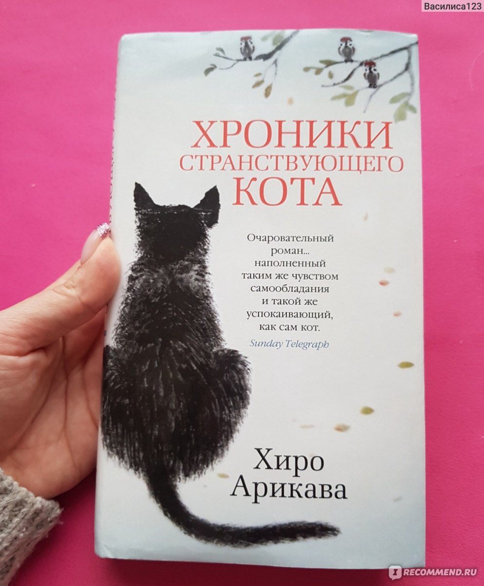 Хроники странствующего кота