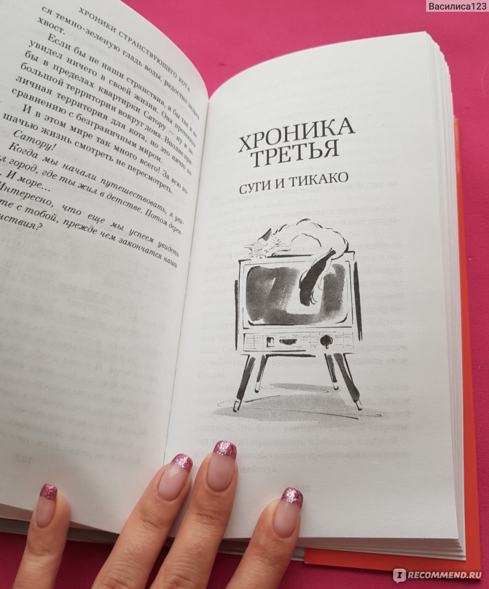 Хроники странствующего кота