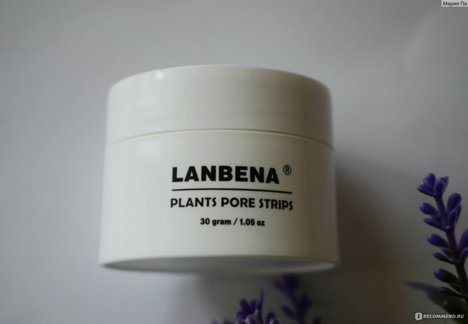 Lanbena plants