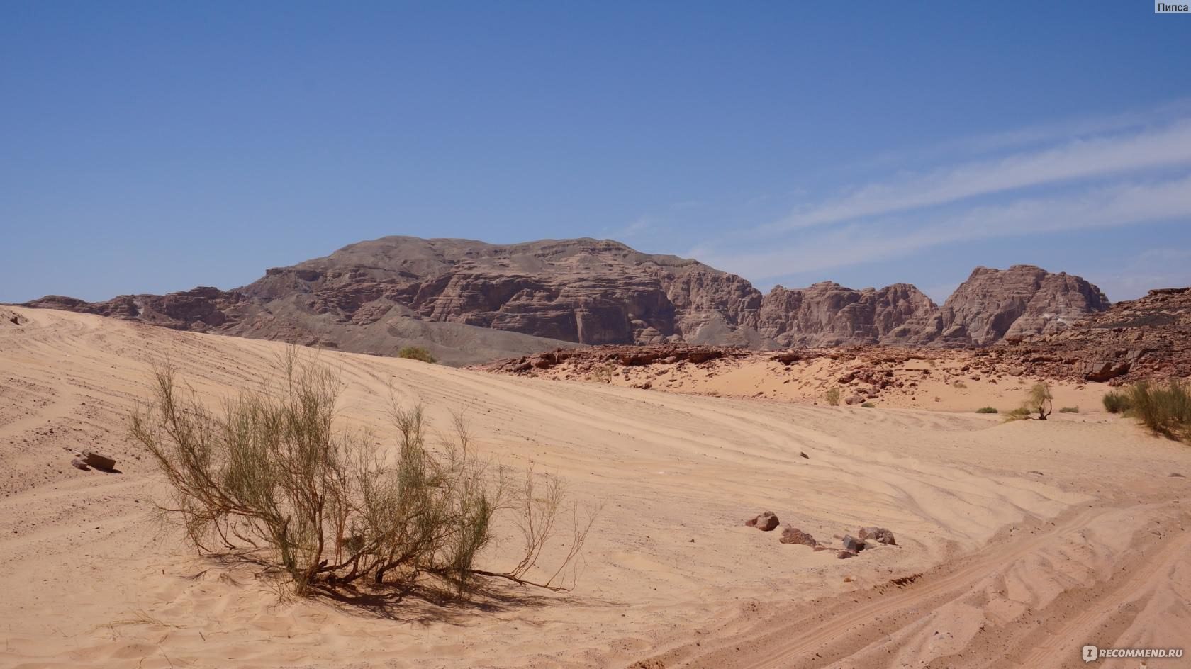 Сафари по пустыне 