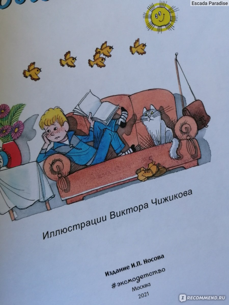 Витя Малеев в школе и дома. Николай Носов - «Повесть для шкодливых младших  школьников. Классика литературы от Николая Носова. » | отзывы