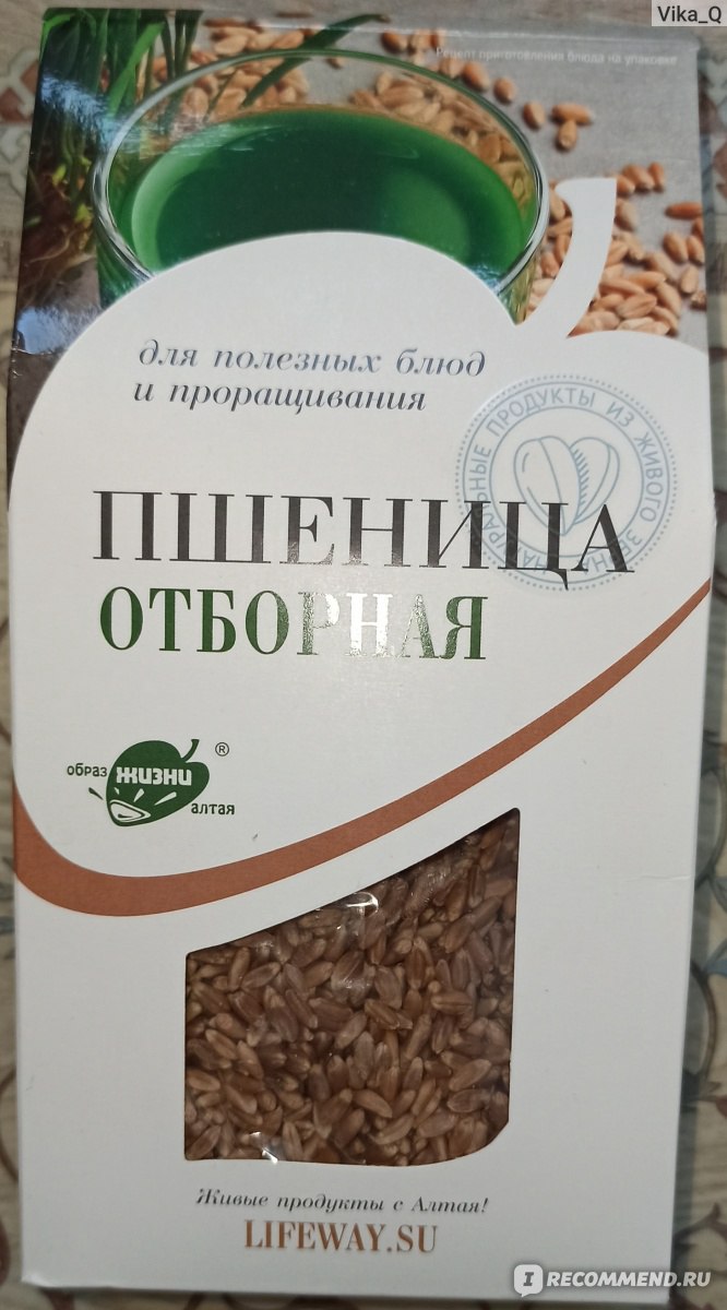 Зерно Образ Жизни Алтая Пшеница отборная для полезных блюд и проращивания -  «Растёт не по дням, а по часам. Вкусная вареной.» | отзывы