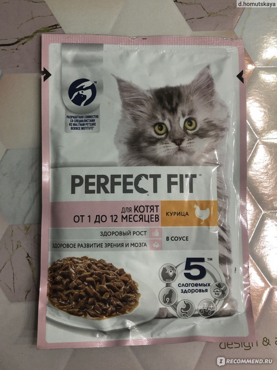 Perfect fit корм для котят. Корм для котят Перфект фит. Корм сухой Перфект фит от 0 до 12. Перфект фит желе. Сухой корм Перфект фотокурица для стерелт.