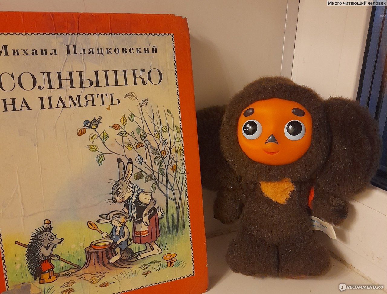 Солнышко на память. Михаил Пляцковский - «Сборник прекрасных поучительных  сказок для малышей» | отзывы