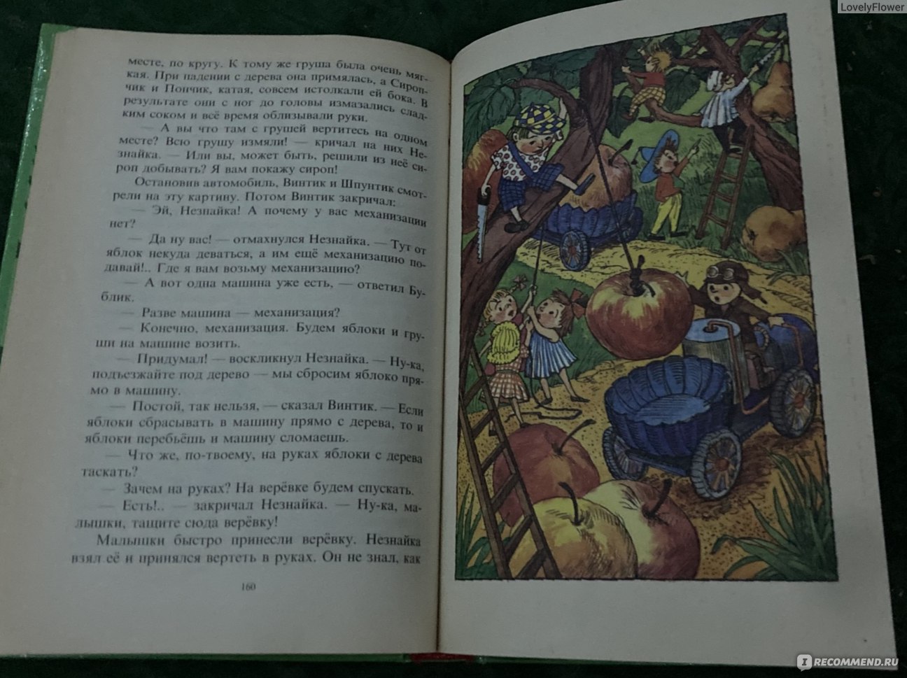 Приключения Незнайки и его друзей, Носов Николай - «АНТИБАРБИ или одна из  лучших книг про отношения между мужчинами и женщинами» | отзывы